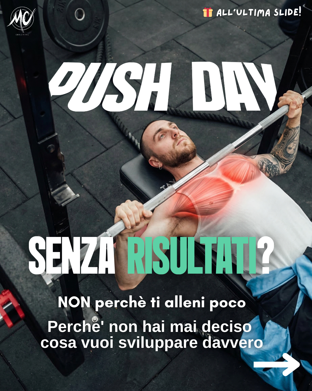 Fitness — Nicchia Content